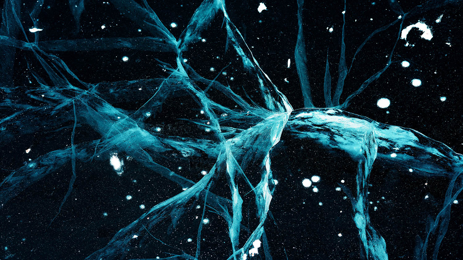 Brain neurons
