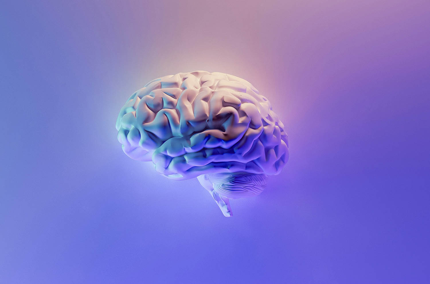 Purple illustration of a brain