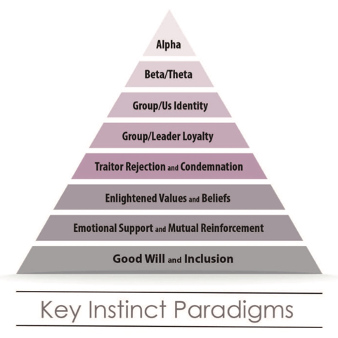 Key Instinct Paradigms